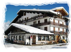 Stella Alpina